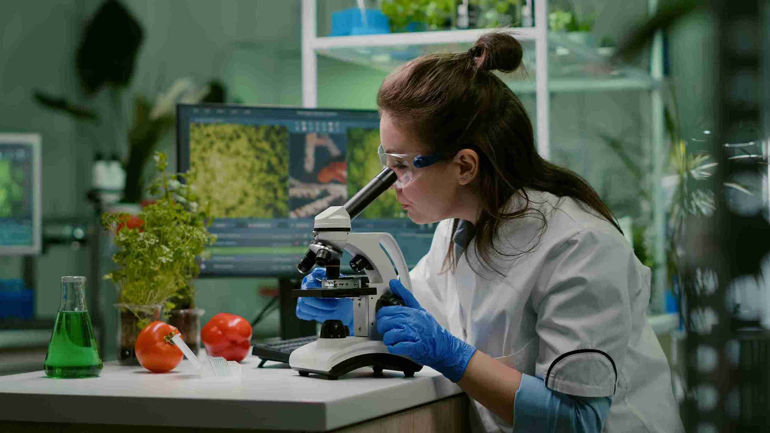 Erasmus Mundus PlantHealth Scholarship 2026–2028
